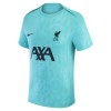 Officiële Voetbalshirt Liverpool Pre-Match 2024-25 - Heren